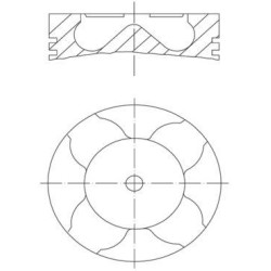 PISTON VL FI