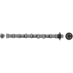 ARBRE A CAMES ECH PSA 2L HDI DW10FC/FUC/FUD AHN/AHR